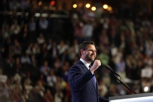 J. D. Vance'o komentaras apie „damas su katėmis“ užsitraukė K. Harris šalininkų įniršį