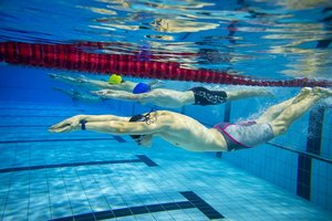 Tyrimas atskleidė nepatogią plaukikų paslaptį: „Visi sysioja baseine“