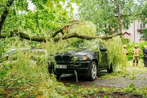 Šalį siaubiant audrai – keliai nepravažiuojami: kelininkai praneša patraukę jau daugiau nei 500 medžių