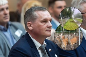 Audra pridarė nemenkų nuostolių Ukmergės rajono merui: per plauką išvengė siaubingo scenarijaus