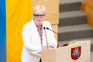 Po skandalo dėl egzaminų rezultatų I. Šimonytė išsakė lūkestį naujajam NŠA vadovui: tikisi, kad „sustyguos procesus“ agentūroje