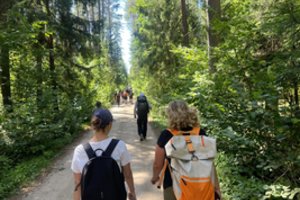 Nieko nekainuojanti veikla, kuri padeda numesti svorio ir sumažinti kraujospūdį: ja užsiimti gali kiekvienas