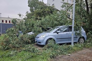 Institucijų atstovai: atsakingos tarnybos turėjo įdėti daugiau pastangų, siekiant gyventojus informuoti apie galimą pavojų