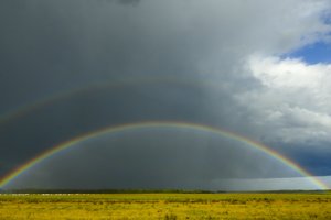 Lepins į Lietuvą sugrįžusi vasariška šiluma, tačiau sulauksime ir lietaus su perkūnija