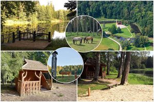 Lietuvos kraštas, kuriame susipina miškai, ežerai ir pelkės: ieškantiems stovyklaviečių – čia tikrai patiks