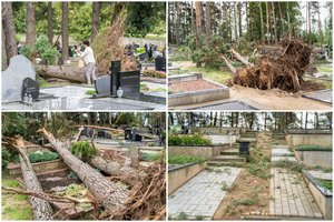 Panevėžio kapinėse – košmariški vaizdai: išverstos didžiulės pušys ir paminklai, išardytos kapavietės