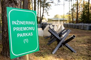Vyriausybė pritarė siūlymui iki kitų metų balandžio įsteigti kontrmobilumo priemonių parkus