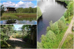 Didingos girios ir kvapą gniaužiantys ežerai – patarė, ką pamatyti Aukštaitijoje