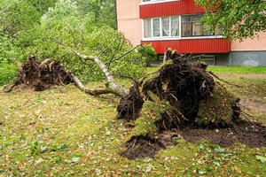 Socialdemokratai kritikuoja Vyriausybės reakciją į audros padarinius: institucijų ir valdančiųjų elgesys – nepateisinamas
