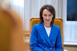 V. Čmilytė-Nielsen: tikėtina, dėl A. Vyšniausko teisinės neliečiamybės panaikinimo bus sprendžiama neeilinėje sesijoje