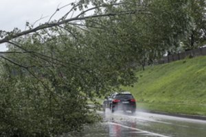 Po praūžusios audros elektros vis dar neturi apie 10 tūkst. gyventojų: pašalinti sutrikimus planuojama per dvi paras