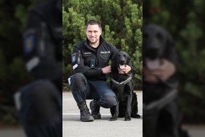 Šiaulių rajono miške pasiklydusią trijulę rado tarnybinis policijos šuo