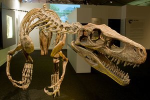Lietus atidengė vieno seniausių pasaulyje dinozaurų liekanas
