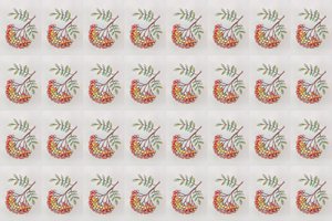 Kuri šermukšnių kekė skiriasi nuo kitų? Suras tik atidžiausi