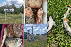 Šešta diena be elektros: išmetė kalnus maisto, prausiasi upelyje, o iš tvenkinio traukia nugaišusias žuvis