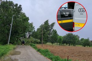 Gyventojai pakraupę: jau savaitę gyvena ne tik be elektros, bet ir šalia nutrūkusių laidų