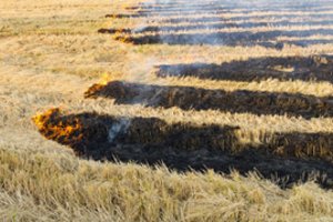 Savaitgalį Lietuvoje ugniagesiai gesino ne tik gyvenamuosius namus, ūkinius pastatus, bet ir kombainą, šieną ir ražienas