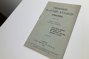 Vilniečius siekia sugrąžinti į tikrovę: nepaisant miesto grožio, jame daug neišspręstų problemų