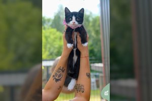 Siaubingą skausmą ištvėręs vos 2,5 mėn. mažylis laukia tų, kurie nebeskaudins ir neišduos