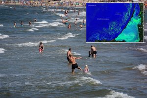 Baltijos jūros vandens žydėjimas matomas net iš kosmoso: įspėja, kad šis procesas bėdų gali sukelti ir poilsiautojams