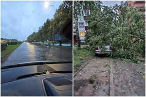 Šiaulių rajone – ekstremalioji situacija: dalis įstaigų įpareigotos įsigyti generatorius