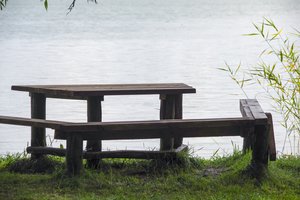 Dzūkijos ežere – pavojinga tarša: įspėja susilaikyti nuo maudynių