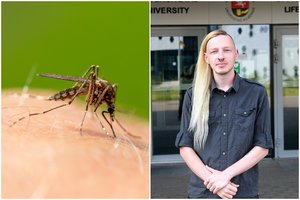 Lietuvoje išplitęs mįslingas virusas – mokslininkų akiratyje: kamuoja blogas įtarimas