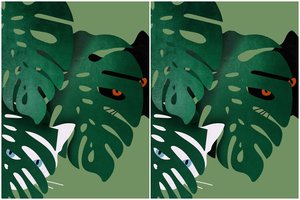 Katės žaidžia slėpynių: raskite ne tik jas, bet ir 5 skirtumus per pusę minutės