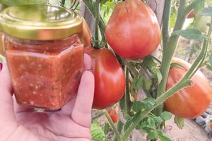 Elena dalijasi naminės adžikos receptu: tiks ne tik prie mėsos, bet ir sriubą pagardinti