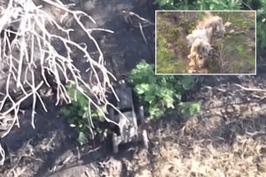 Siurprizai priešui: nauji Ukrainos ginklai sėkmingai naikina Rusijos pajėgas