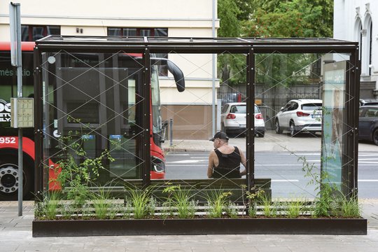 Kaune stotelių stogines apželdins įvairiais vijokliais: stengsis sukurti pavėsį