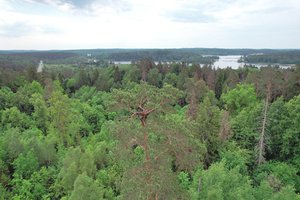 Neįprastas lietuvio pomėgis: per metus aptinka ir 15 naujų piliakalnių