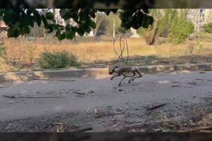 Ukrainiečiai parodė savo naują įspūdingą ginklą