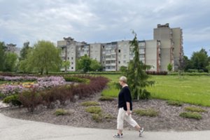 Tūkstančius eurų per mėnesį atsieinanti paslauga buksuoja: „Nejau reiks kaip žmonėms elektros daugiau nei savaitę laukti?“