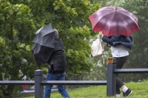 Orai: vėjas dar labiau įsisiautės, gūsiai kai kur pasieks 20 m/s