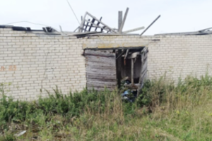 Nuošaliame kaime Kėdainių rajone – pavojingas radinys