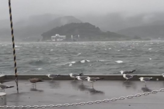 Japoniją talžo taifūnas „Maria“: užfiksuotas rekordinis lietaus kiekis, įkuriami evakuacijos centrai