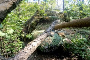 „The Wall Street Journal“: Kursko srityje kariaujanti Ukraina susiduria su rimta dilema