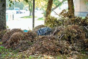 Praėjo dvi savaitės, o padariniai dar jaučiami: Panevėžyje tebetvarkoma audros padaryta žala