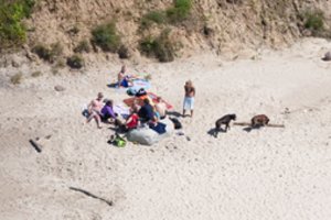 Papiktino Juodkrantės nudistų paplūdimyje vedžiojami šunys: „Didžiulės karvės laksto“