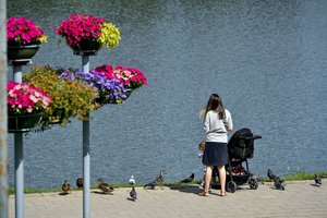 Šio rajono tėvai nuo kitų metų gaus vienkartines išmokas – pasakė, kiek šeimos sulauks pinigų
