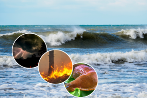 Artėjame ekologinės katastrofos link: mokslininkė įspėja – tai dažnėjantys ekstremalūs reiškiniai