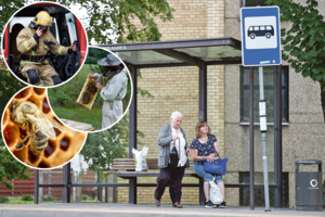 Į pagalbą išsigandusiems kauniečiams – bitininkas su visa komanda: nustebo, ką išvydo