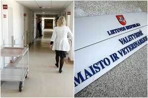 Po apsilankymo pajūrio restorane 7 klientams nustatyta salmoneliozė: pradėtas tyrimas