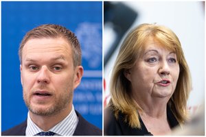 V. Blinkevičiūtės neįtikino G. Landsbergio kvietimas tartis: apsieisime be jo patarimų