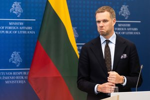 G. Landsbergis: būtų garbė dirbti eurokomisaru, bet toliau tarnausiu savo šaliai kitais būdais