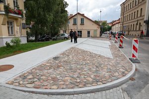 Permainos Tilto gatvėje kelia nuostabą: vilniečiai ir juokiasi, ir nerimauja dėl jų