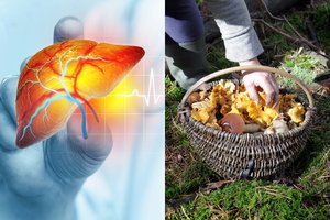 Gydytojas įspėjo, kad miške suklysta net visko matę dzūkai: „Tas grybas „žudo“ kepenis“