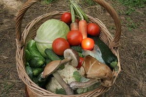 Specialistai pataria: esminės taisyklės, kad kuo mažiau daržo gėrybių atsidurtų konteineriuose