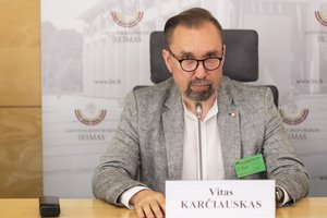 Desovietizacijos komisija svarstys, ar grįžti prie S. Nėries paminklo klausimo: pirmininkas siūlytų pervadinti „Išdavystės“ vardu